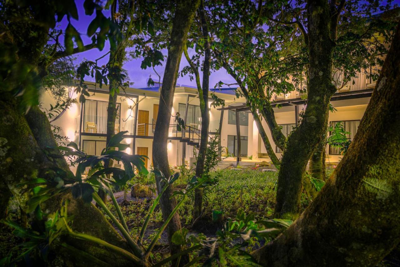 Ocotea Boutique Hotel Monteverde Extérieur photo