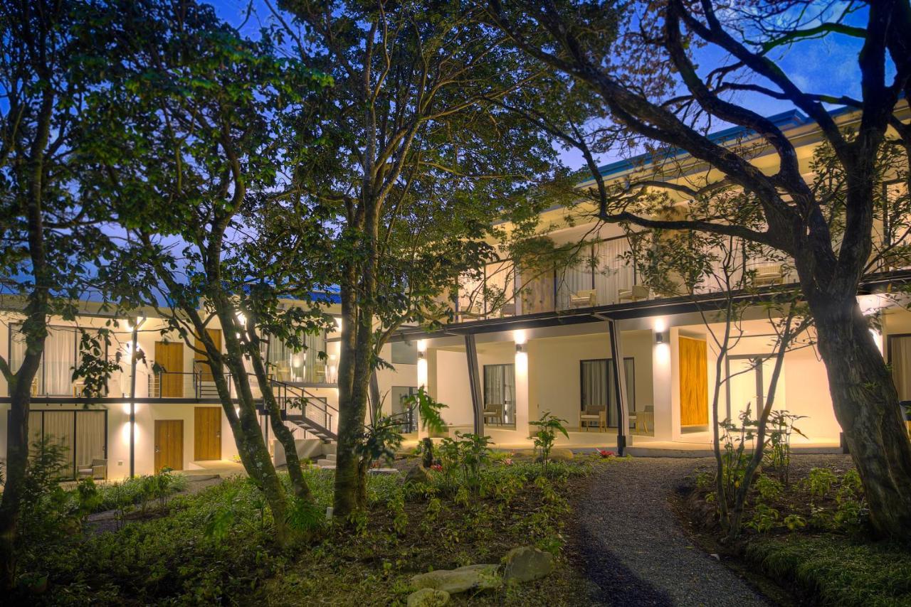 Ocotea Boutique Hotel Monteverde Extérieur photo