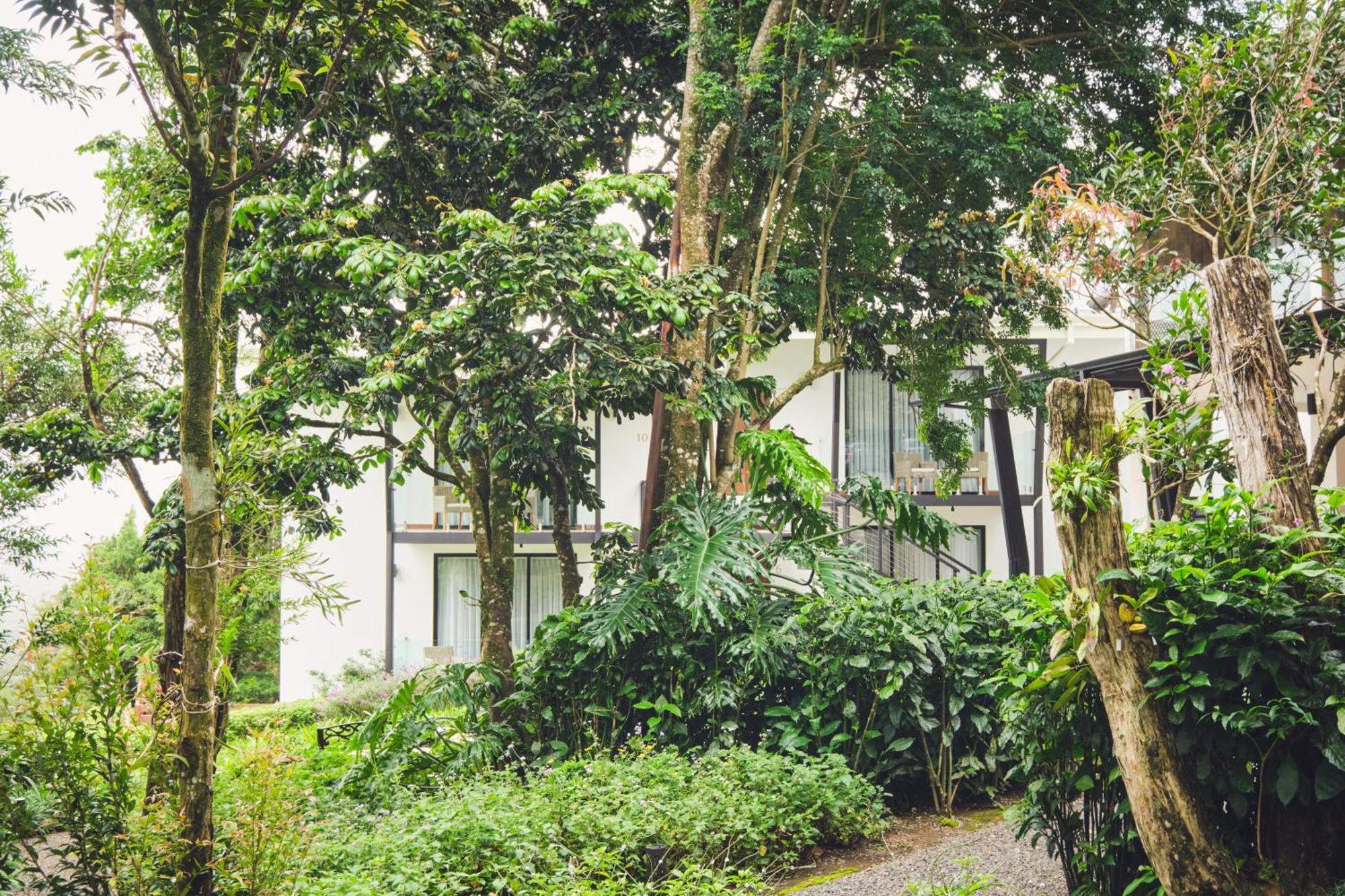 Ocotea Boutique Hotel Monteverde Extérieur photo